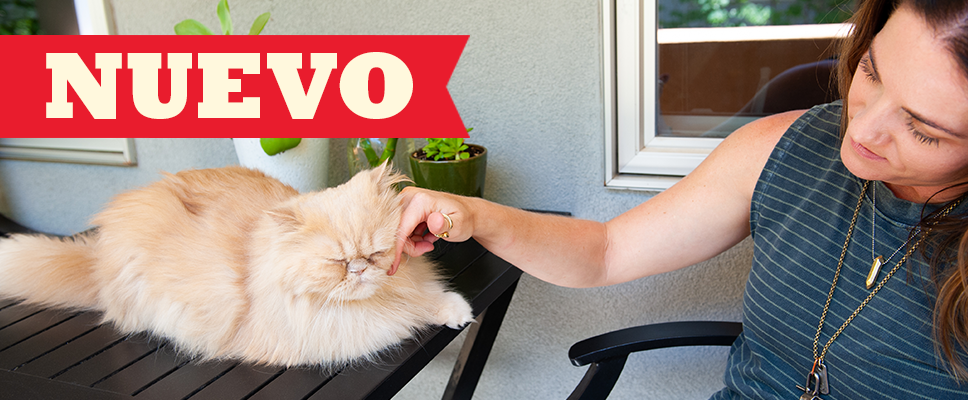 Alimentos para gatos ACANA